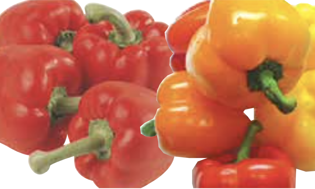 Red Yellow Or Orange Peppers